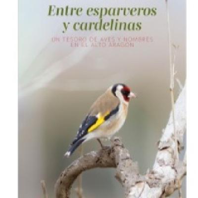 La Radio del Somormujo - Prog 260. José Luis Cortés. Entre esparveros y cardelinas. La Radio del Somormujo - Prog 260. José Luis Cortés. Entre esparveros y cardelinas.