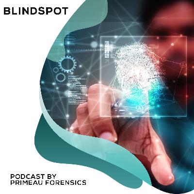 Blindspot Episode 25: A Look Back at 2020 and the COVID-19 Pandemic