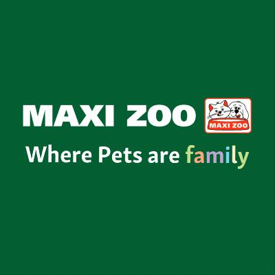 Things to consider before getting a pet Things to consider before getting a pet