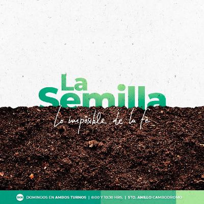 07 PREDICAS LA SEMILLA - TIERRA DE BENDICION