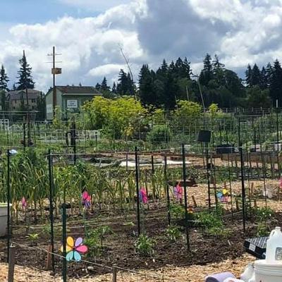 43. The True Value of Farmland and the Future of Heritage Farm with Zorah Oppenheimer