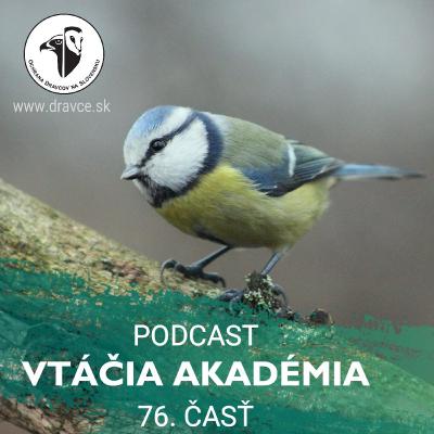 Vtáky sú vlastne mini Terminátori Vtáky sú vlastne mini Terminátori
