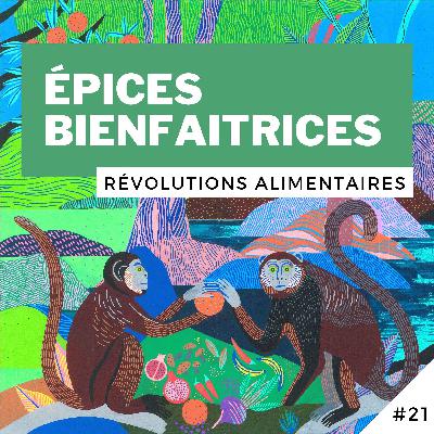 #21 - Épices Bienfaitrices