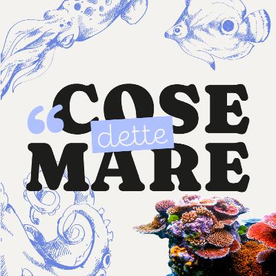 #25 - Coralli: Gear up and let's wrap