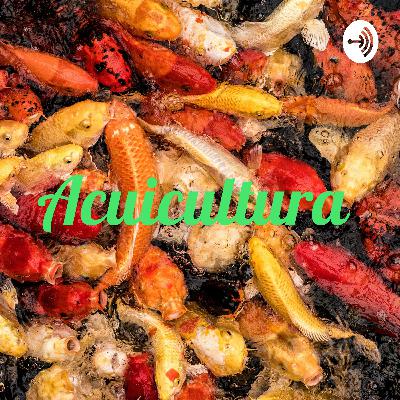 Entrevista a Héctor Ibarra