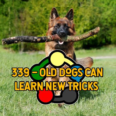 339 – Old Dogs Can Learn New Tricks