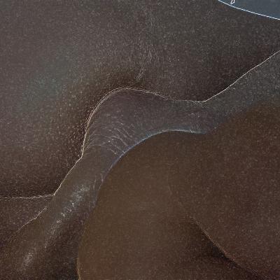 Mapa Físico de Chile, Cap. 1