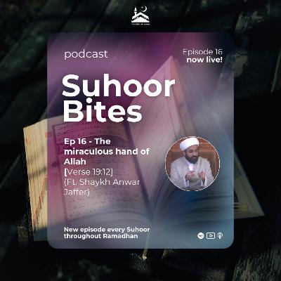 Ep 17 - Proving the existence and oneness of Allah (pt. 1) [Verse 22:73] ft. Shaykh Anwar Jaffer