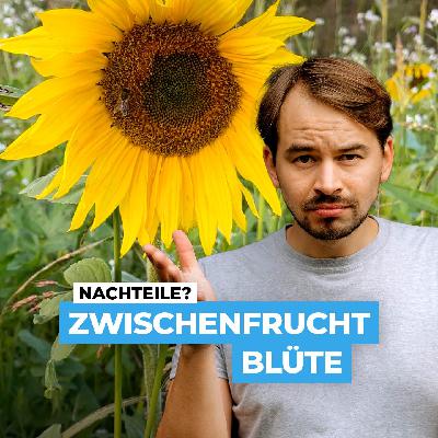 Hat eine blühende Zwischenfrucht Nachteile für deinen Acker?