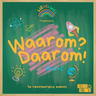 Maken dieren ook wel eens ruzie? Bioloog Roy legt uit | Waarom? Daarom!