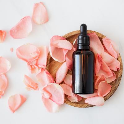 Entre Músiques 261 (T8). Esència... (valencià) Entre Músiques 261 (T8). Esència... (valencià)