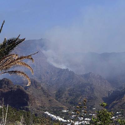 Gran Canaria - Urlauber mit grünen Daumen Gran Canaria - Urlauber mit grünen Daumen