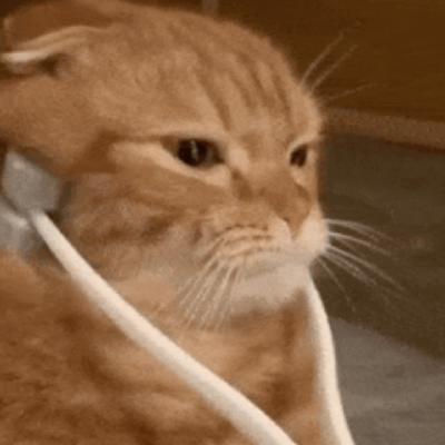 自学中医的宝妈和邪修养生群，到底谁错了？