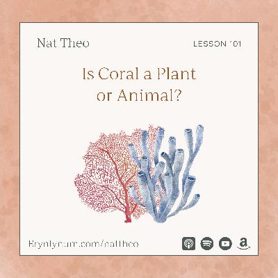 Is Coral a Plant or Animal? With Coral Ecologist Dr. Robert Carter - Lesson 101