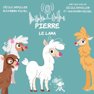 Pierre le lama