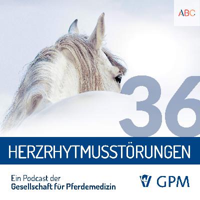 Das Herz - Teil 2: Herzrhythmusstörungen