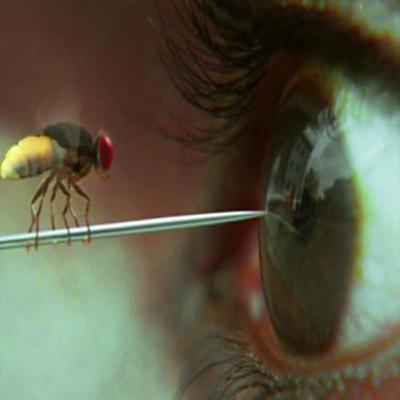 #7 - Eega (2012) ft. Aksharaa Agarwal #7 - Eega (2012) ft. Aksharaa Agarwal