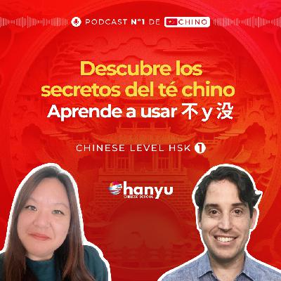 #27 Aprende a hacer preguntas con 不 y 没 | Todo sobre los tés chinos | Aprende Chino Online | HSK1 - T2 E27