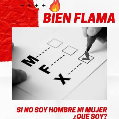 Bien Flama - ¿Qué significa ser una persona no binaria?