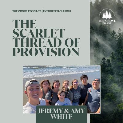 033: The Scarlet Thread of Provision
