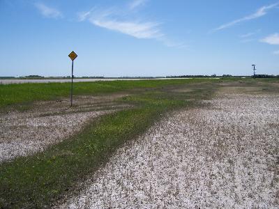 What's behind Bottineau's curious 'quicksand’ sign