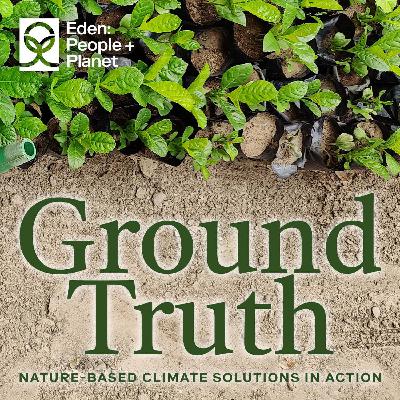 Nature-Based Carbon Markets: Maximizing ROI Through Vertically Integrated Solutions