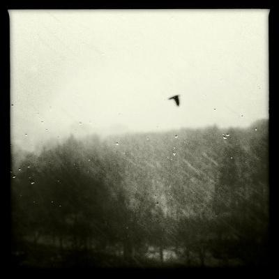 Episode 5 - Rain Cloak