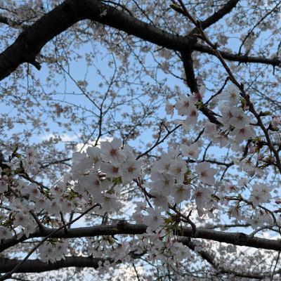 3月31日具体的に振り返る
