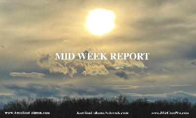 Mid Week Report - 7 Aug 25 Mid Week Report - 7 Aug 25