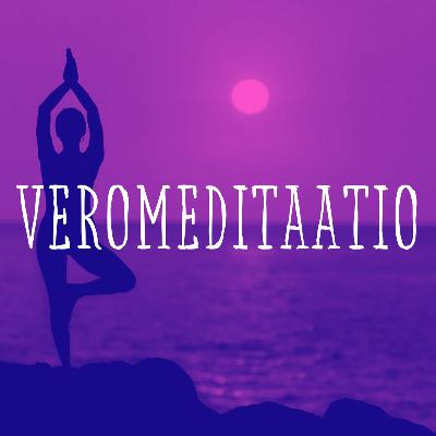 S3E10: Syventävä veromeditaatio: Tuloverolaki edistyneille