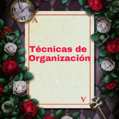 Técnicas de Organización