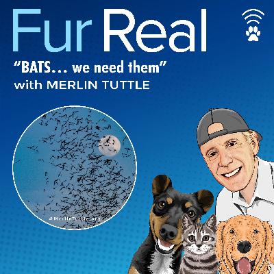 "BATS...we need them" with Merlin Tuttle