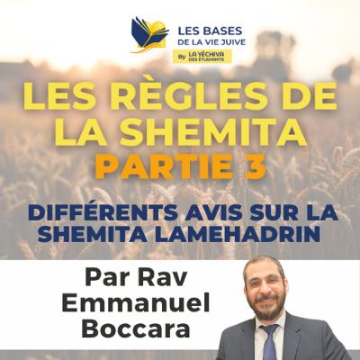 Les règles de la Shemita, partie 3, à propos de la Shemita lemehadrin