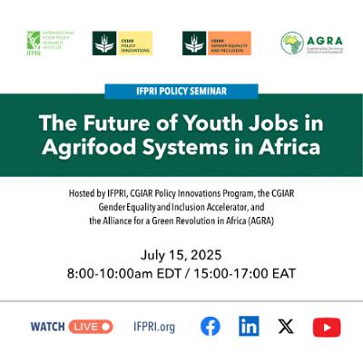 The Future of Youth Jobs in Agrifood Systems in Africa