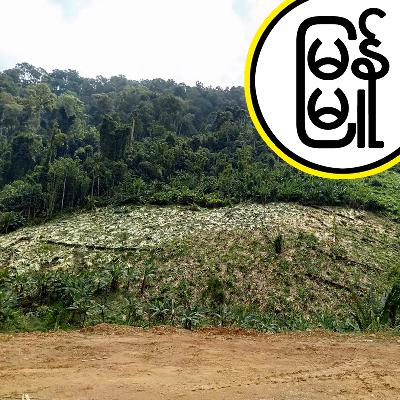 Political Ecology & Violence in Burma