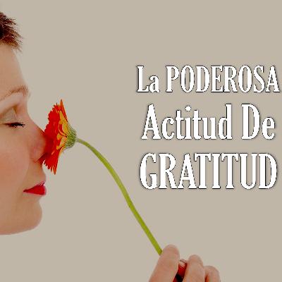La PODEROSA Actitud De GRATITUD - Motivación para el Alma - David Yujra