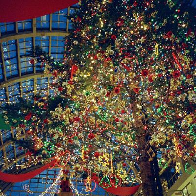 回忆里的圣诞节:冬天结束前 回忆里的圣诞节:冬天结束前