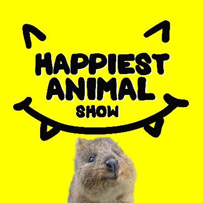 Funny Animal Names (with underwater photographer Patrick Webster)