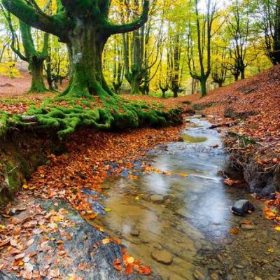 COMO PODEMOS DISMINUIR LA CONTAMINACIÓN DEL AIRE