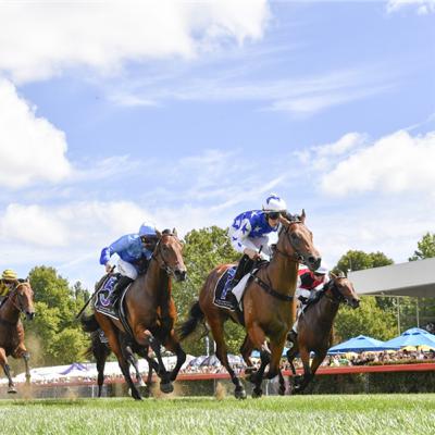 The Canberra Conversation - Black Opal Stakes 2026