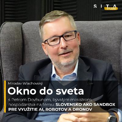67 - Peter Dovhun o potenciáli Slovenska v oblasti umelej inteligencie a robotiky | Okno do sveta 67 - Peter Dovhun o potenciáli Slovenska v oblasti umelej inteligencie a robotiky | Okno do sveta