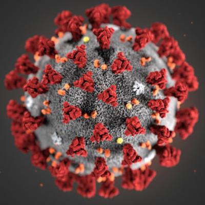 shasty- corona virus 2020