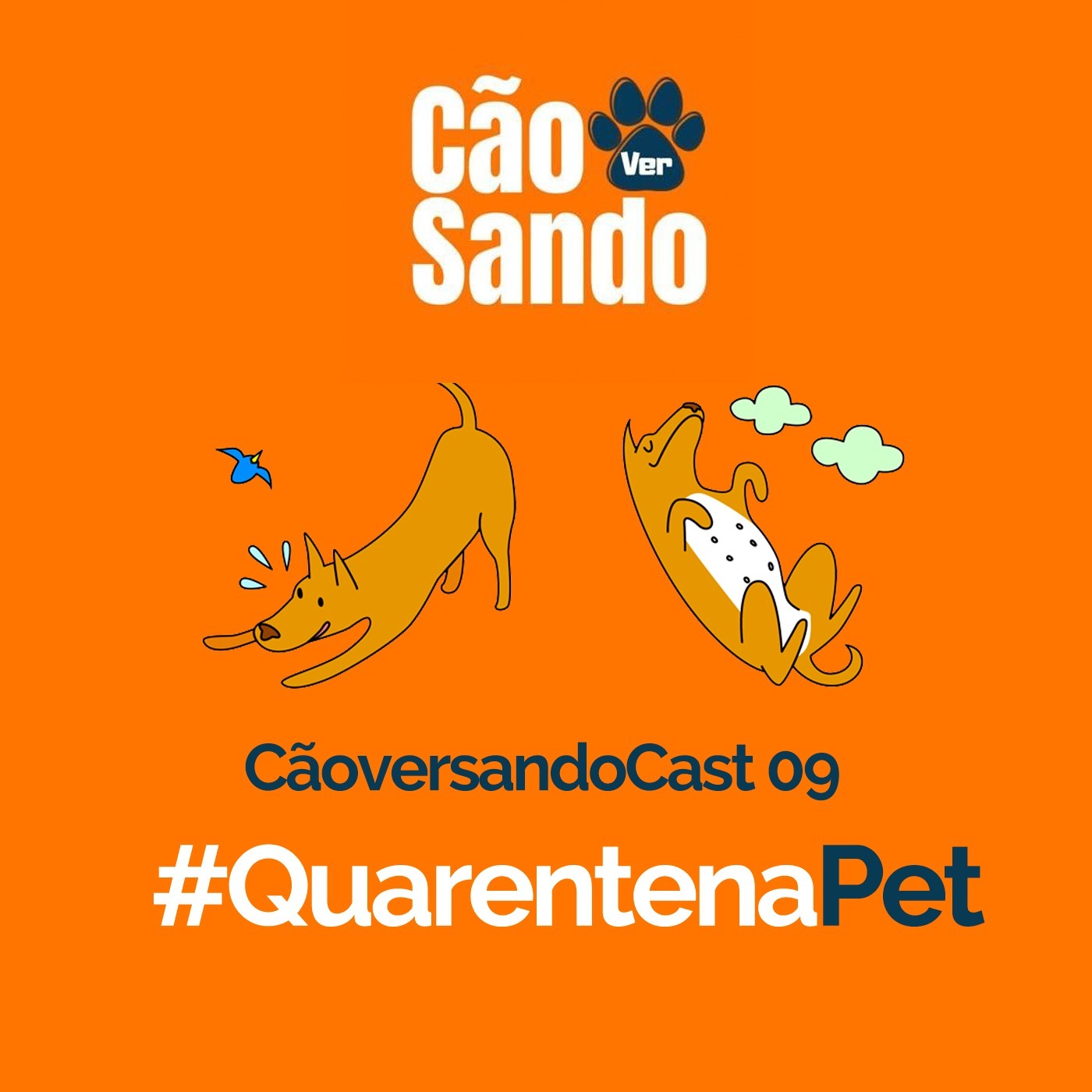 CãoversandoCast- Cãoversando Sobre Cachorros