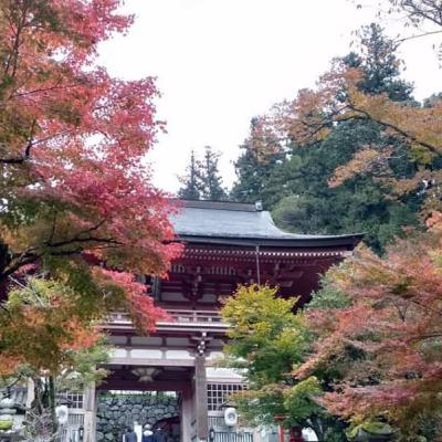 اپیزود چهارم: سفر به کوراما