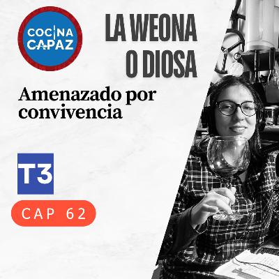 t3 cap 62. Lwo Amenazado por convivencia #puisss