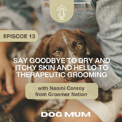 Say Goodbye to Dry Itchy Skin and Hello to Therapeutic Grooming with Master Groomer Naomi Conroy