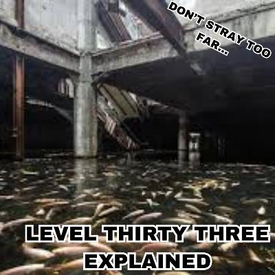 Level Thirty Three Explained