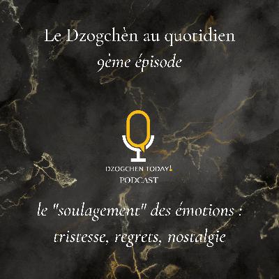 Le Dzogchèn et le “soulagement” des émotions au jour le jour (9) - tristesse, regrets, nostalgie