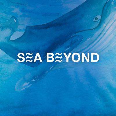 【SEA BEYOND】对话Enzo Barracco、张敬宜｜给大海拍一张肖像：至美之中，藏有深忧