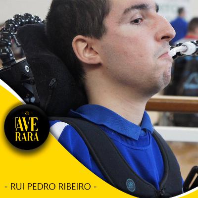 224 - Como começar este negócio sem assumir riscos... - com Rui Pedro Ribeiro